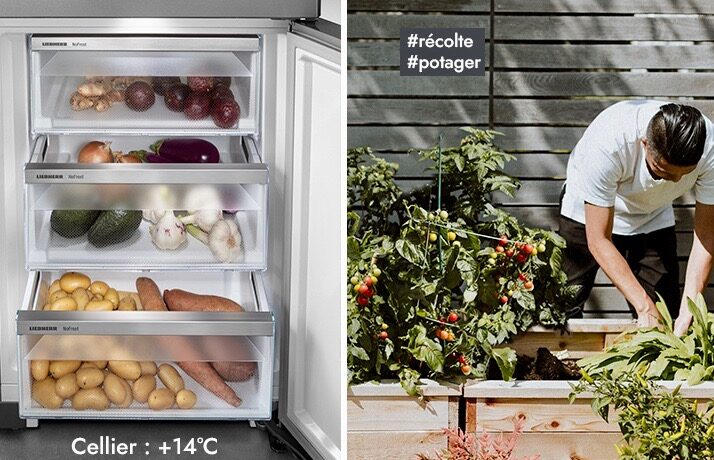 La grande flexibilité offerte par VarioTemp est permise grâce au spectre de températures proposé par Liebherr, « le plus étendu du marché », dit la marque. Simple à utiliser, cette nouvelle technologie s’active depuis la fonction disponible dans le bandeau de commande.