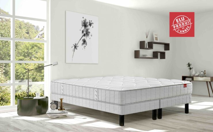 Deux marques du groupe Cofel (Bultex et Epéda) ont remporté le célèbre prix “Élu Produit de l’Année 2024”. Pour les dirigeants du fabricant français appartenant à l’Espagnol Grupo Pikolin, cette double récompense est perçue comme « un gage de confiance, de reconnaissance et de fierté ».