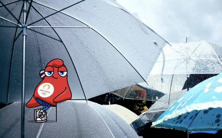 Procos donne une activité des enseignes du commerce spécialisé en baisse de 2,5 % en juillet. Mais certaines régions sont en forte régression dans le nord de la France, du fait d’une météo défavorable, tandis qu’à Paris, l’activité a été très fortement impactée dès avant le début des jeux olympiques. Par ailleurs, certains secteurs souffrent plus que d’autres, comme l’équipement de la maison.